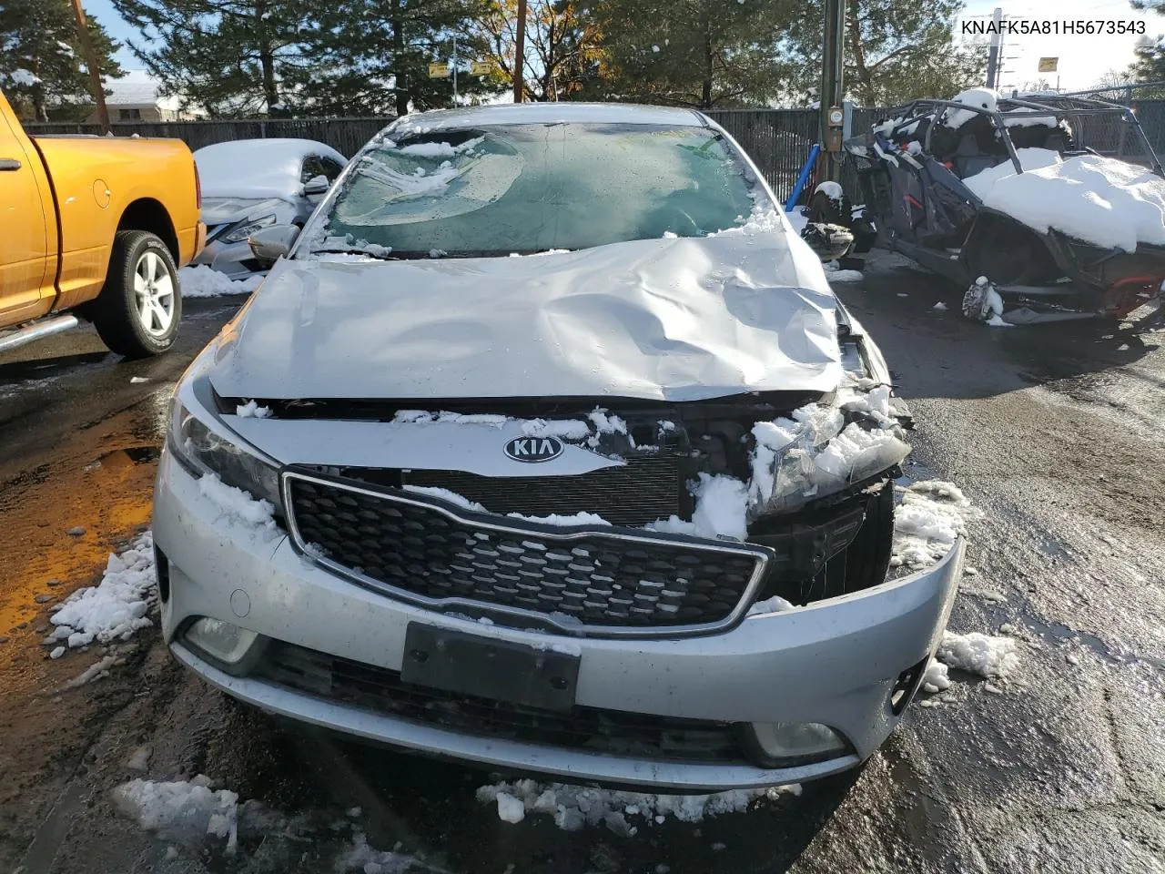 2017 Kia Forte Lx VIN: KNAFK5A81H5673543 Lot: 79578964