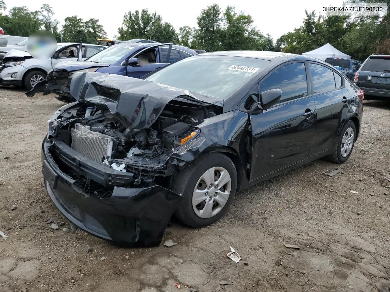 2018 Kia Forte Lx VIN: 3KPFK4A71JE190830 Lot: 60442734