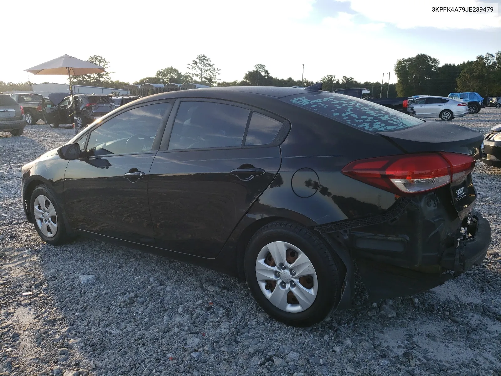 2018 Kia Forte Lx VIN: 3KPFK4A79JE239479 Lot: 66348554