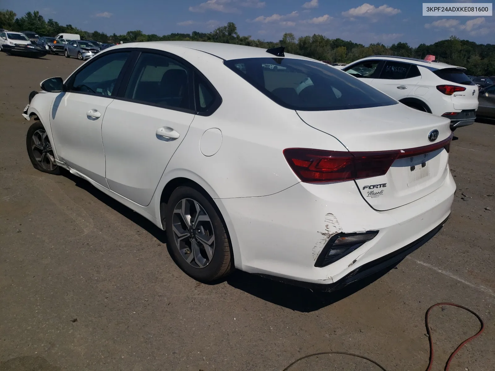 2019 Kia Forte Fe VIN: 3KPF24ADXKE081600 Lot: 66585484