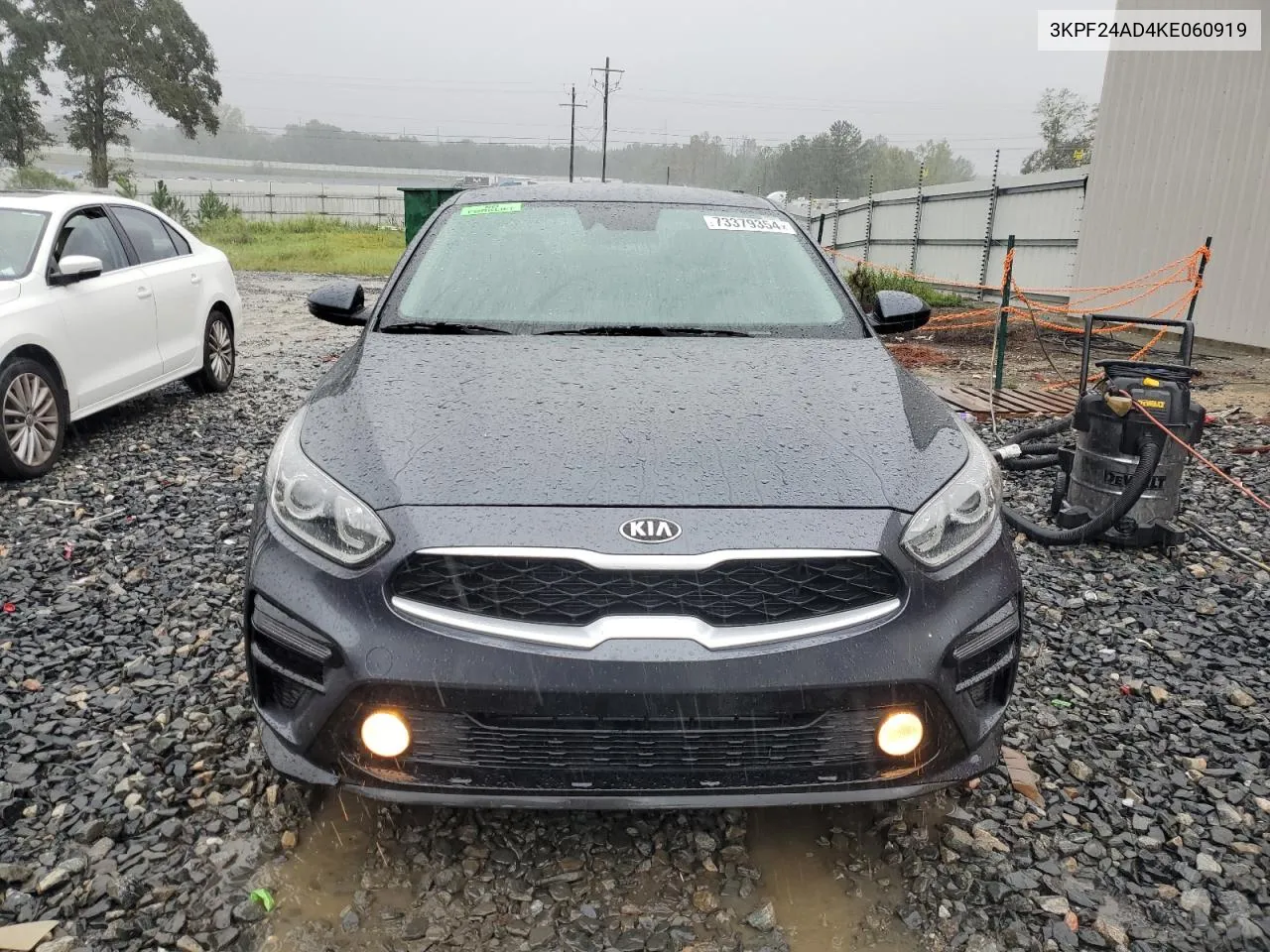 2019 Kia Forte Fe VIN: 3KPF24AD4KE060919 Lot: 73379354