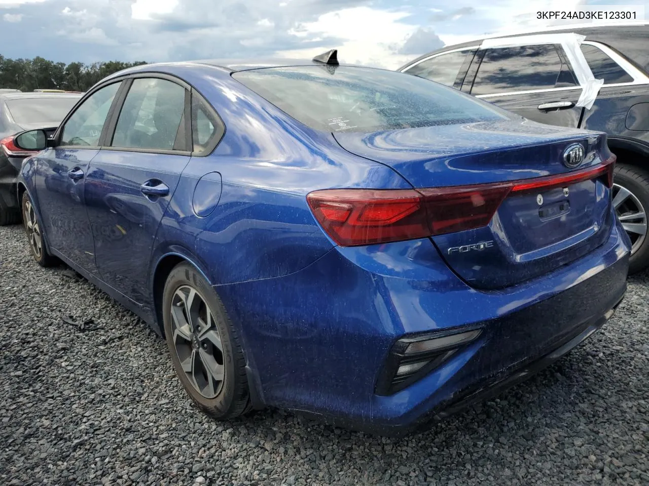 2019 Kia Forte Fe VIN: 3KPF24AD3KE123301 Lot: 74262384