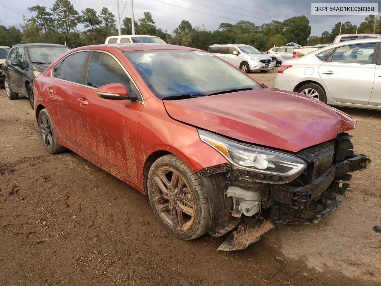 2019 Kia Forte Ex VIN: 3KPF54AD1KE068368 Lot: 79812394