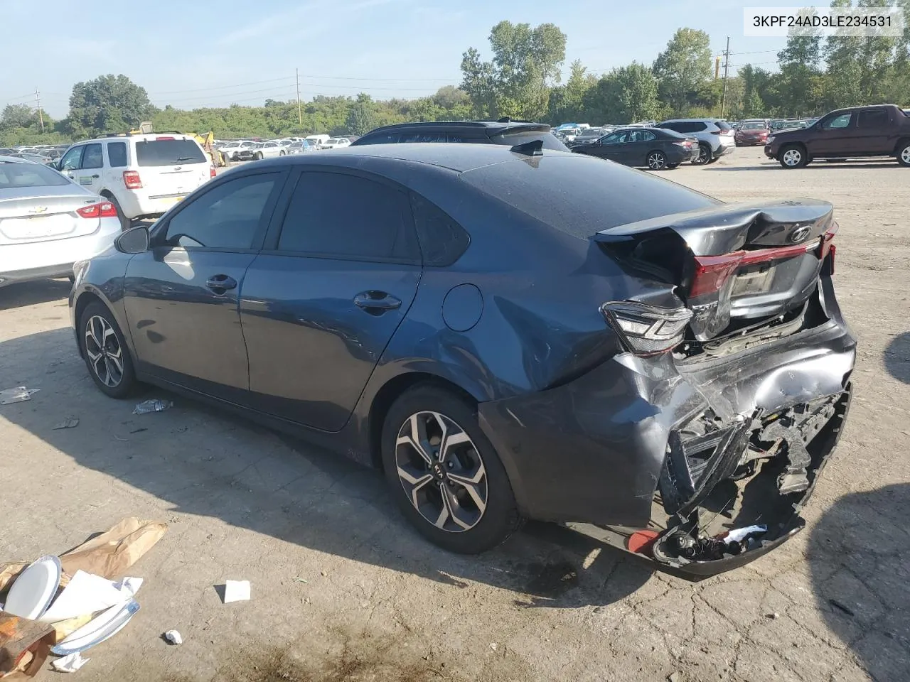 2020 Kia Forte Fe VIN: 3KPF24AD3LE234531 Lot: 71649184