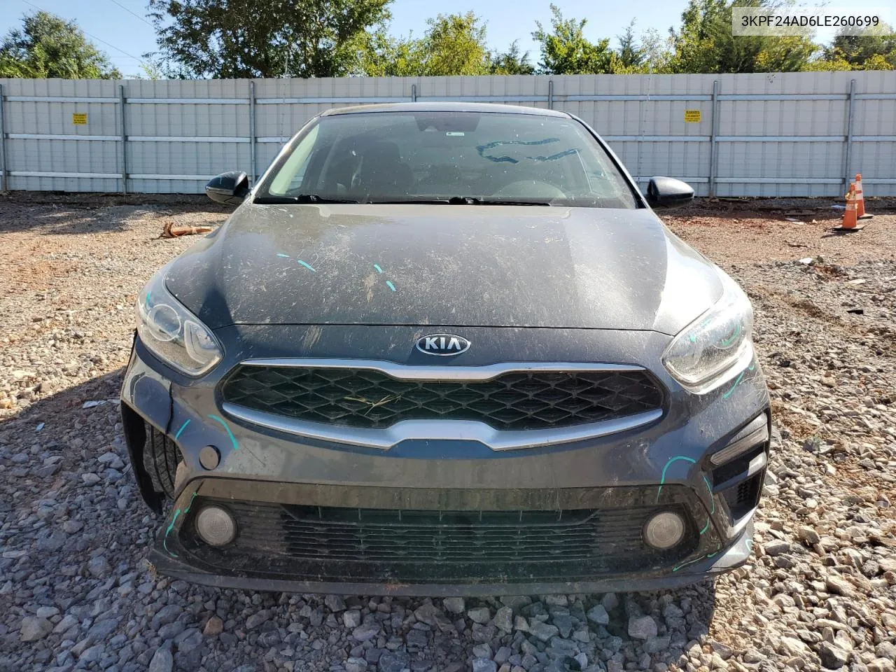 2020 Kia Forte Fe VIN: 3KPF24AD6LE260699 Lot: 73594774