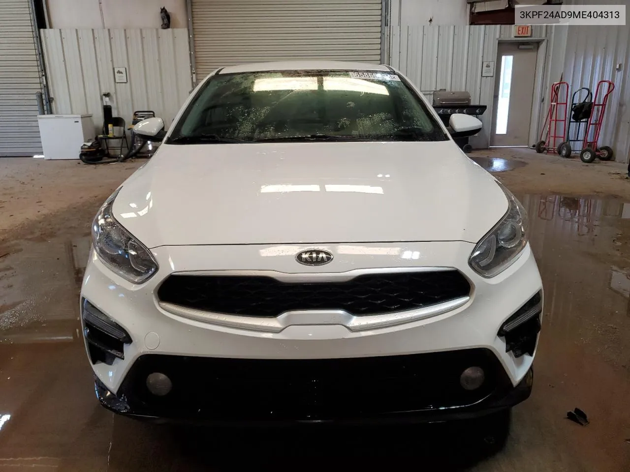 2021 Kia Forte Fe VIN: 3KPF24AD9ME404313 Lot: 65869604