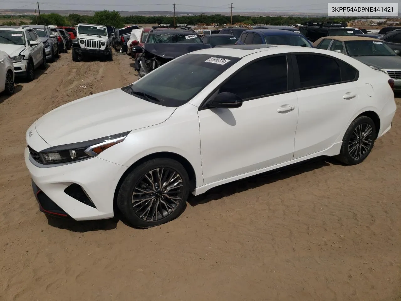 2022 Kia Forte Gt Line VIN: 3KPF54AD9NE441421 Lot: 55966124