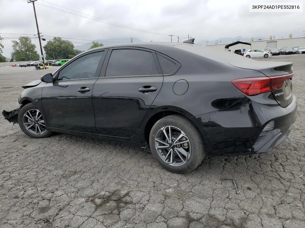 2023 Kia Forte Lx VIN: 3KPF24AD1PE552816 Lot: 55006224