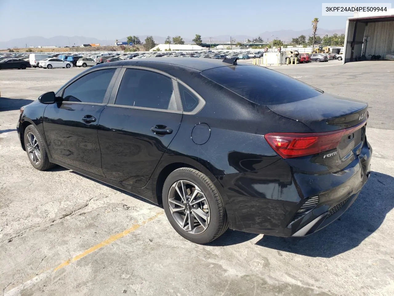 2023 Kia Forte Lx VIN: 3KPF24AD4PE509944 Lot: 69997674