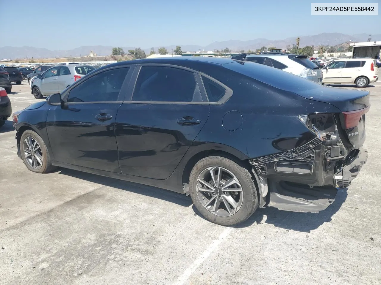 2023 Kia Forte Lx VIN: 3KPF24AD5PE558442 Lot: 71359154