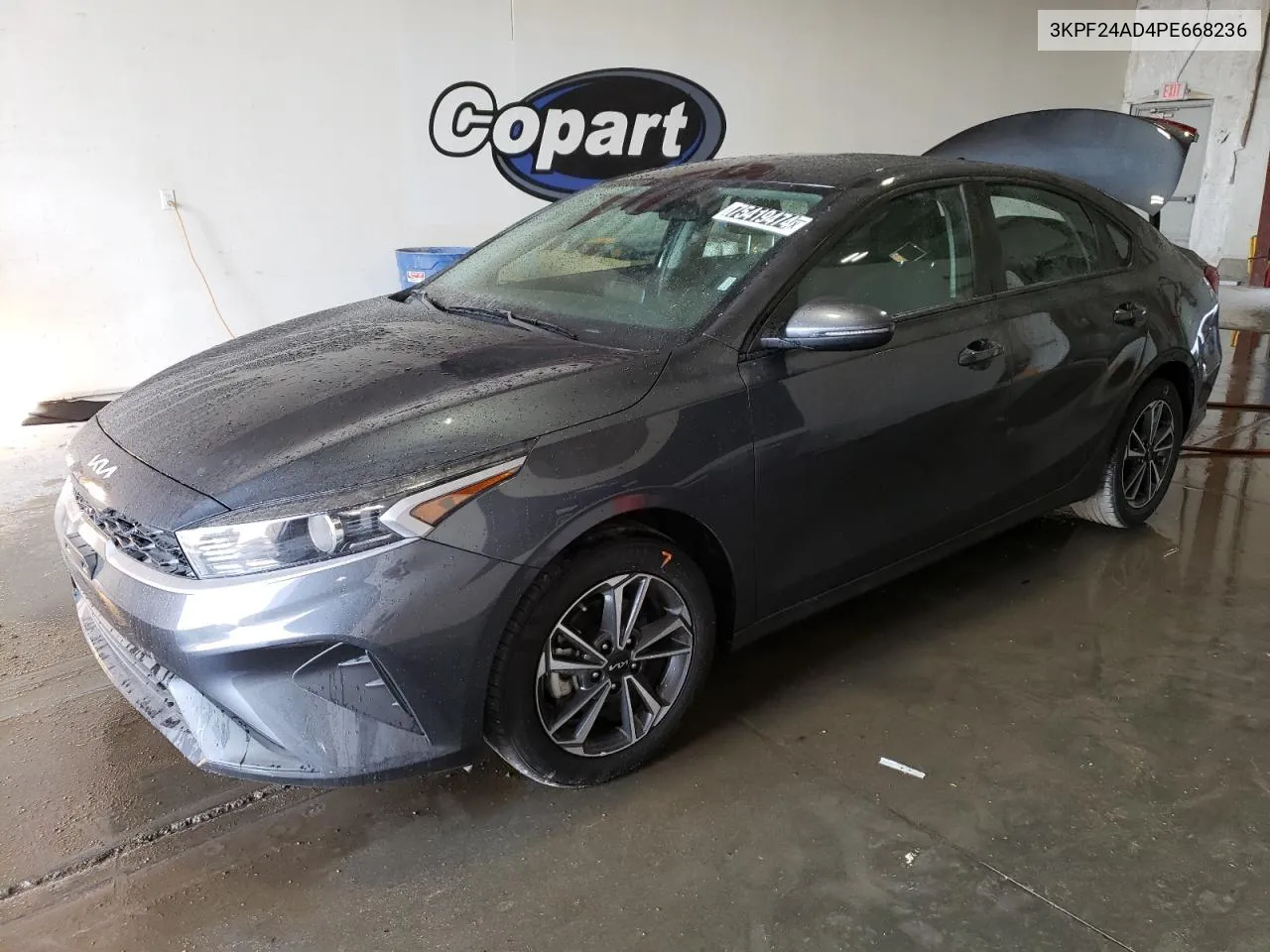 2023 Kia Forte Lx VIN: 3KPF24AD4PE668236 Lot: 75419474