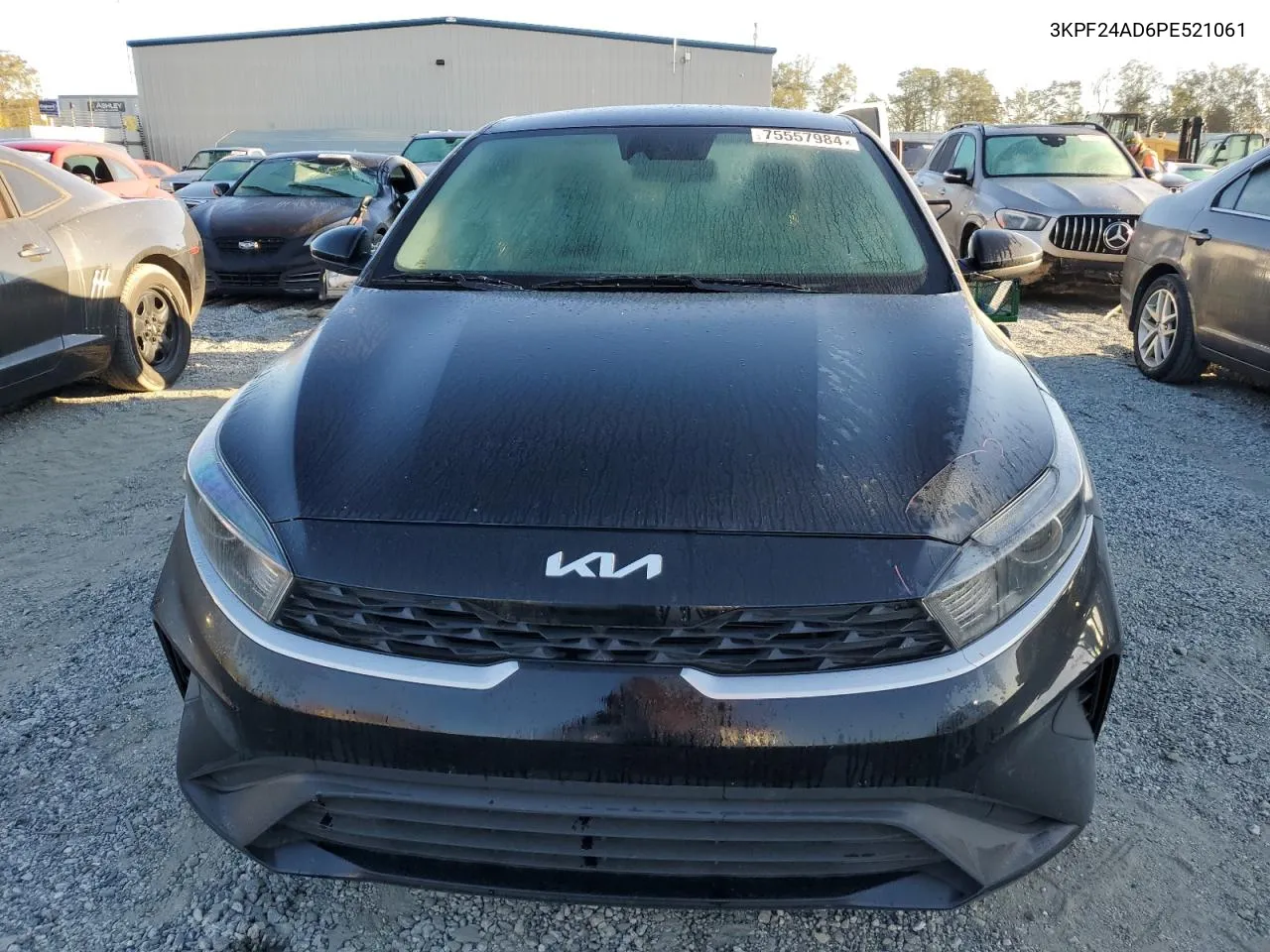 2023 Kia Forte Lx VIN: 3KPF24AD6PE521061 Lot: 75557984