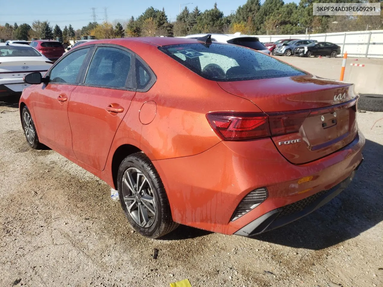 2023 Kia Forte Lx VIN: 3KPF24AD3PE609291 Lot: 78813884