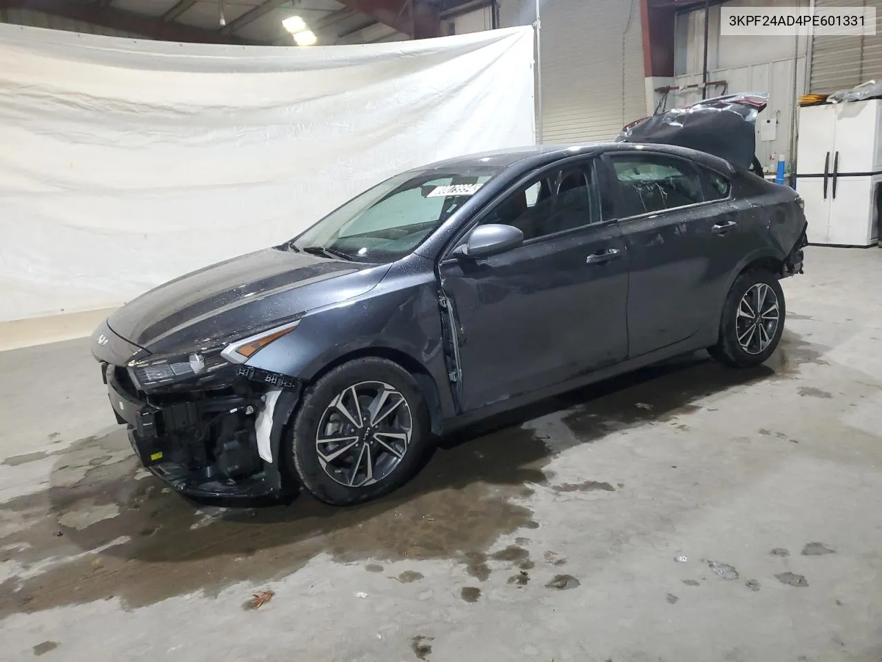 2023 Kia Forte Lx VIN: 3KPF24AD4PE601331 Lot: 80079994