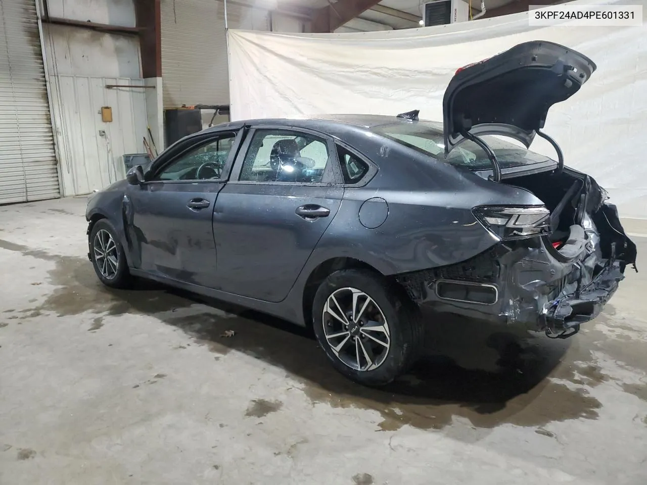 2023 Kia Forte Lx VIN: 3KPF24AD4PE601331 Lot: 80079994