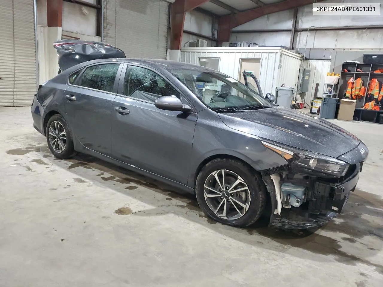 2023 Kia Forte Lx VIN: 3KPF24AD4PE601331 Lot: 80079994