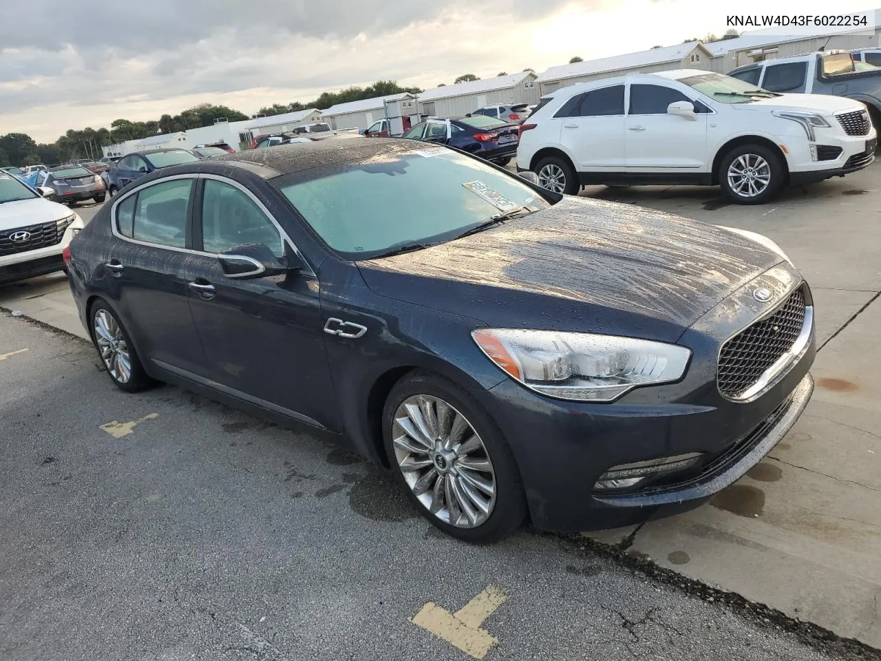 2015 Kia K900 VIN: KNALW4D43F6022254 Lot: 73966104