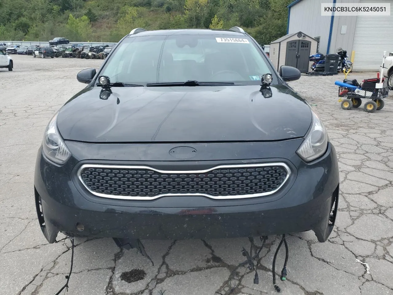 2019 Kia Niro Fe VIN: KNDCB3LC6K5245051 Lot: 73515664