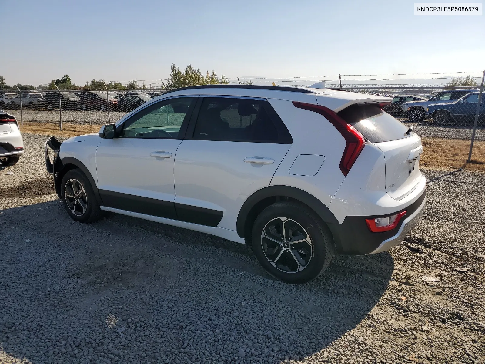 2023 Kia Niro Lx VIN: KNDCP3LE5P5086579 Lot: 66310844