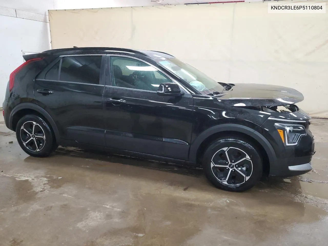 2023 Kia Niro Ex VIN: KNDCR3LE6P5110804 Lot: 79884074