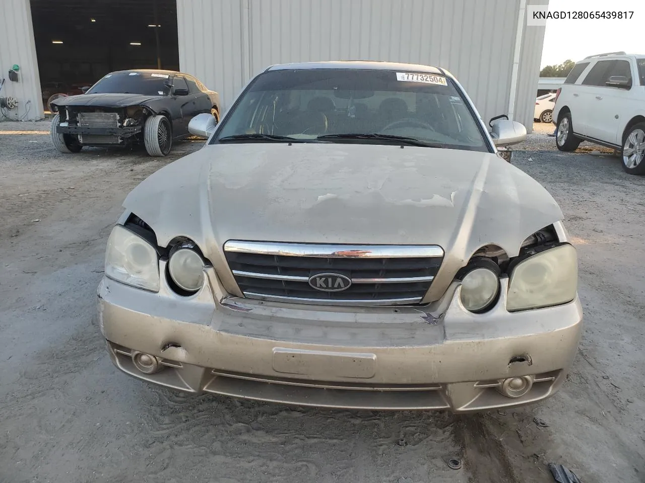 2006 Kia Optima Lx VIN: KNAGD128065439817 Lot: 77732504