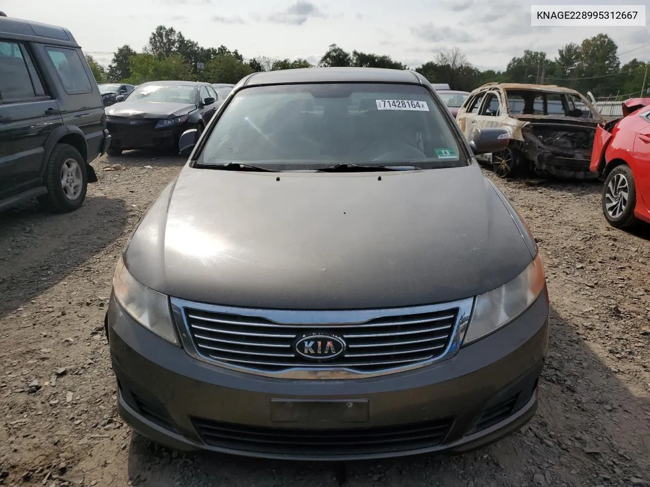 KNAGE228995312667 2009 Kia Optima Lx