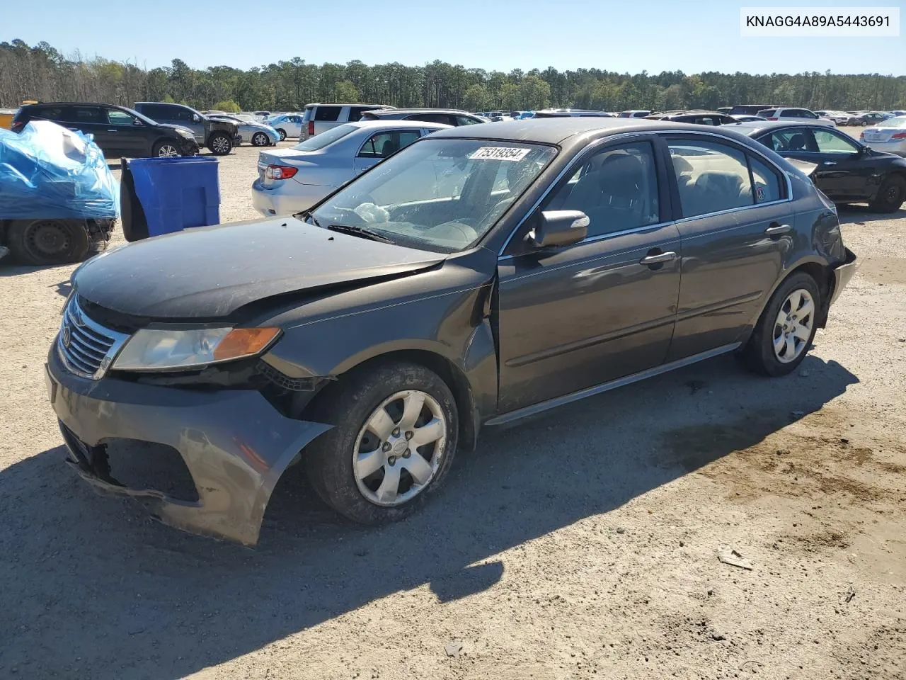 2010 Kia Optima Lx VIN: KNAGG4A89A5443691 Lot: 75319354