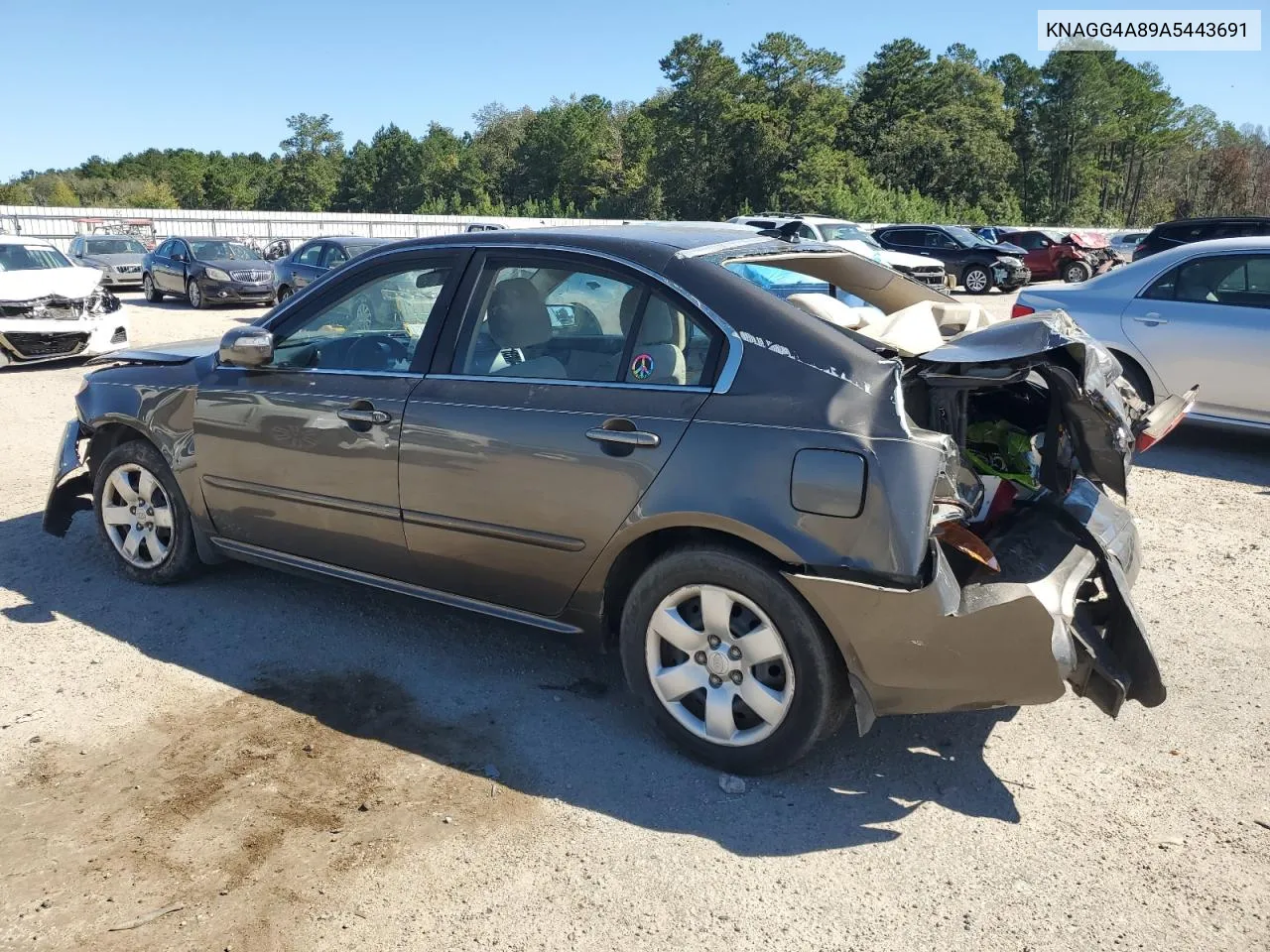 2010 Kia Optima Lx VIN: KNAGG4A89A5443691 Lot: 75319354