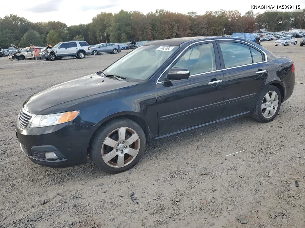 2010 Kia Optima Ex VIN: KNAGH4A41A5399115 Lot: 77845164