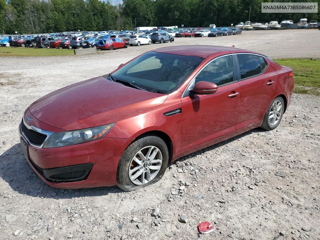 2011 Kia Optima Lx VIN: KNAGM4A73B5086607 Lot: 71163194