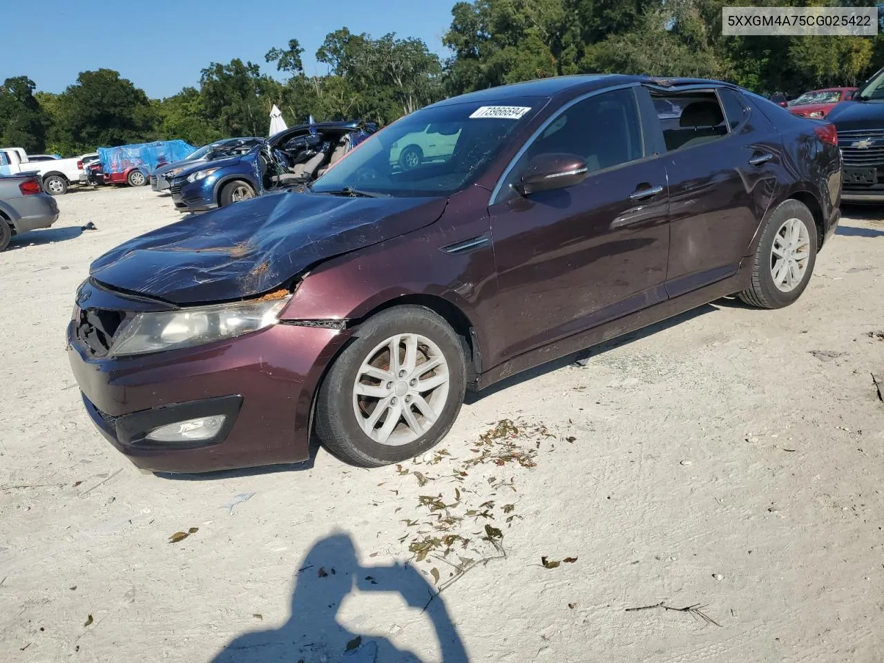 2012 Kia Optima Lx VIN: 5XXGM4A75CG025422 Lot: 73966694