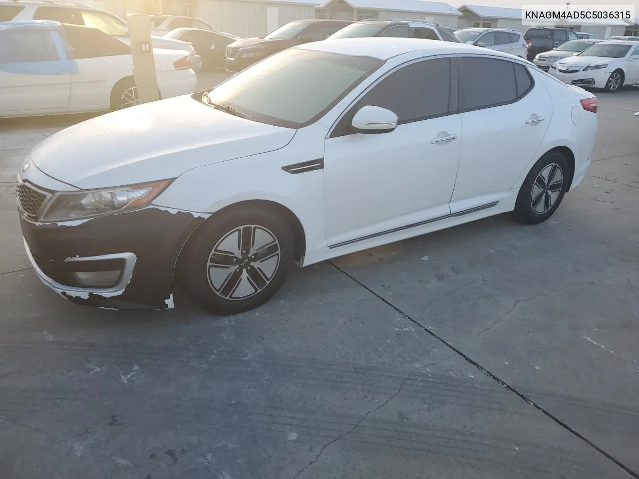 2012 Kia Optima Hybrid VIN: KNAGM4AD5C5036315 Lot: 74881424