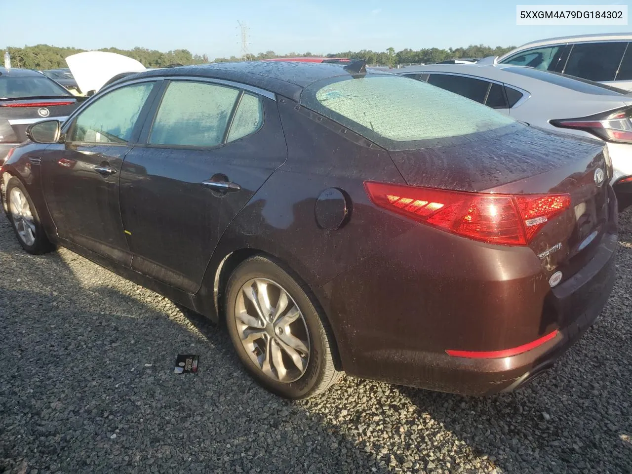 2013 Kia Optima Lx VIN: 5XXGM4A79DG184302 Lot: 74178764