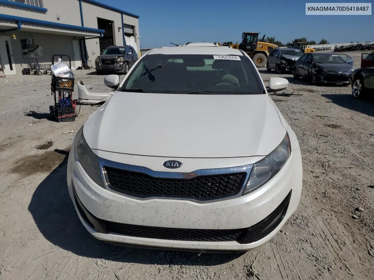 2013 Kia Optima Lx VIN: KNAGM4A70D5418487 Lot: 75623554