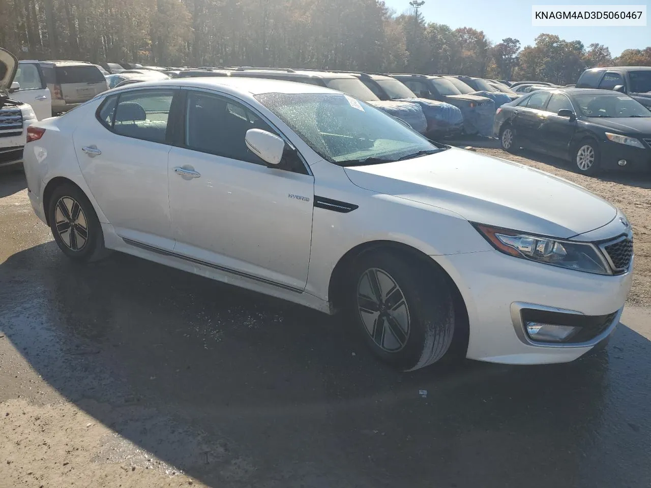 2013 Kia Optima Hybrid VIN: KNAGM4AD3D5060467 Lot: 76614304