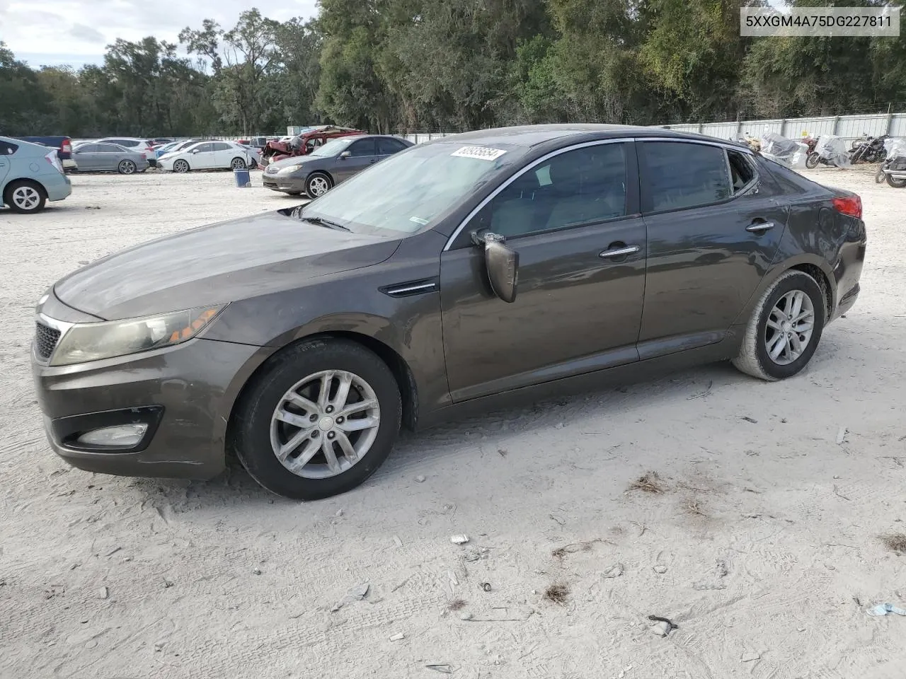 2013 Kia Optima Lx VIN: 5XXGM4A75DG227811 Lot: 80935654