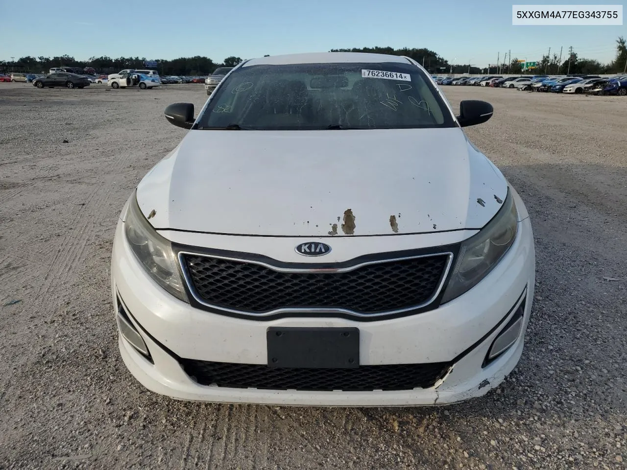 2014 Kia Optima Lx VIN: 5XXGM4A77EG343755 Lot: 76236614