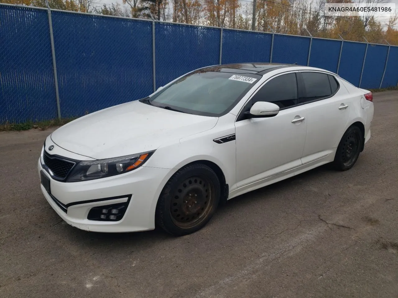 2014 Kia Optima Sx VIN: KNAGR4A60E5481986 Lot: 76877334