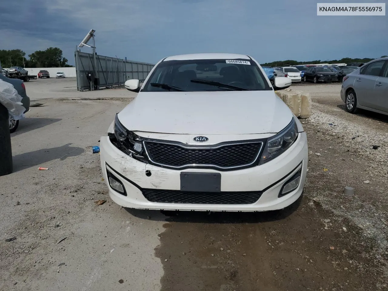 2015 Kia Optima Lx VIN: KNAGM4A78F5556975 Lot: 66685814