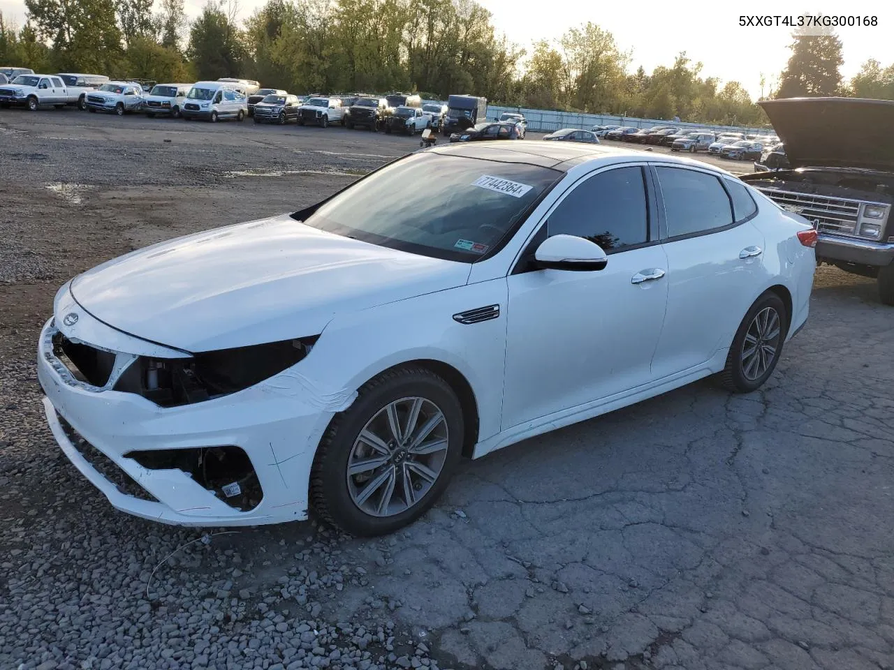 2019 Kia Optima Lx VIN: 5XXGT4L37KG300168 Lot: 77442364