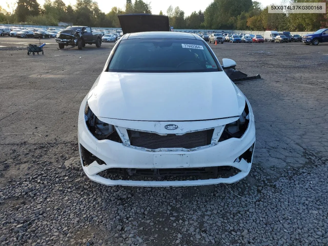 2019 Kia Optima Lx VIN: 5XXGT4L37KG300168 Lot: 77442364