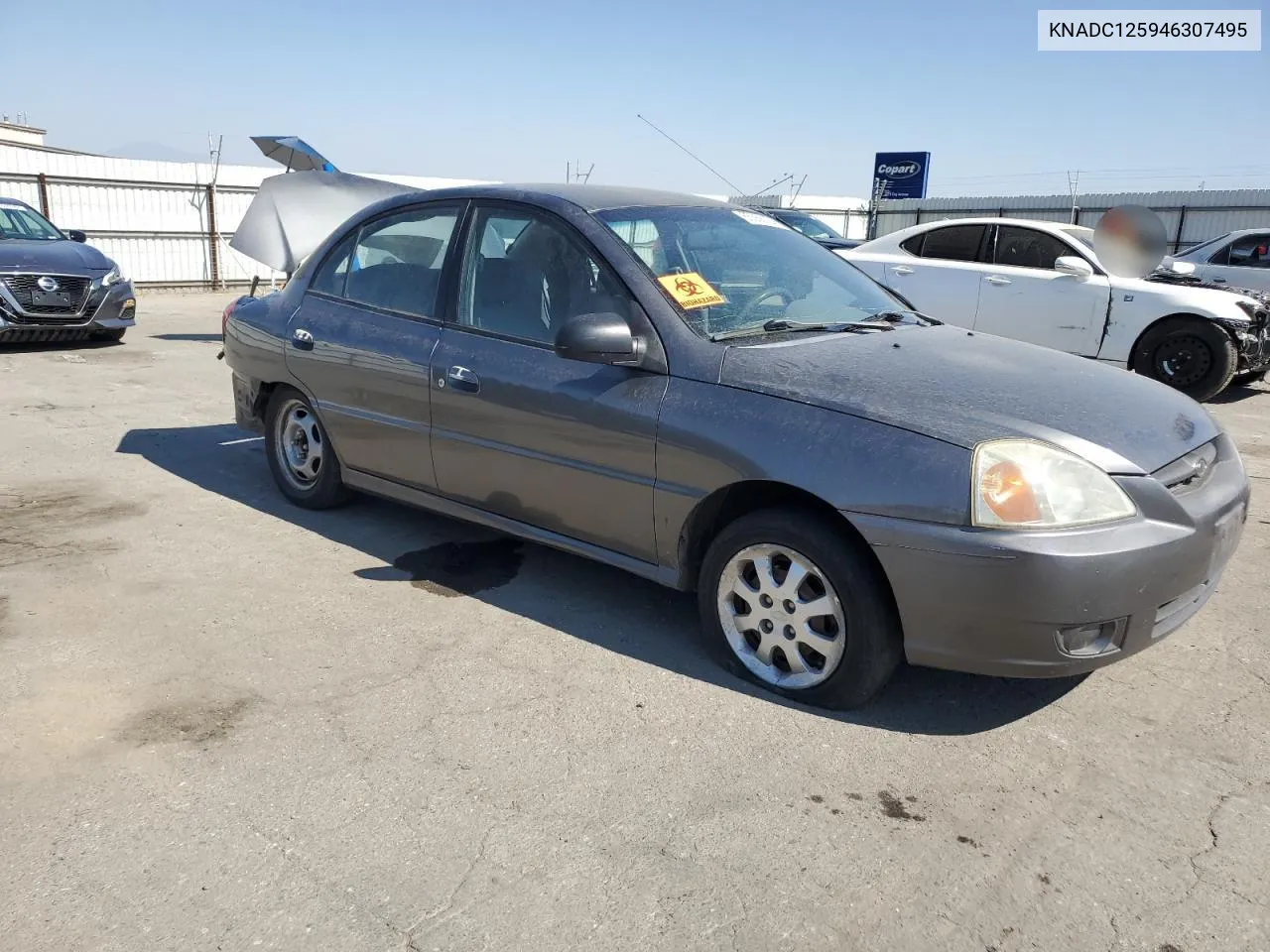 2004 Kia Rio VIN: KNADC125946307495 Lot: 65368134