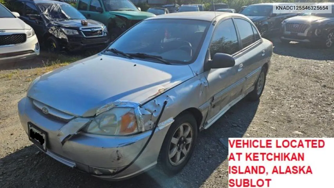 2004 Kia Rio VIN: KNADC125546325654 Lot: 65521594