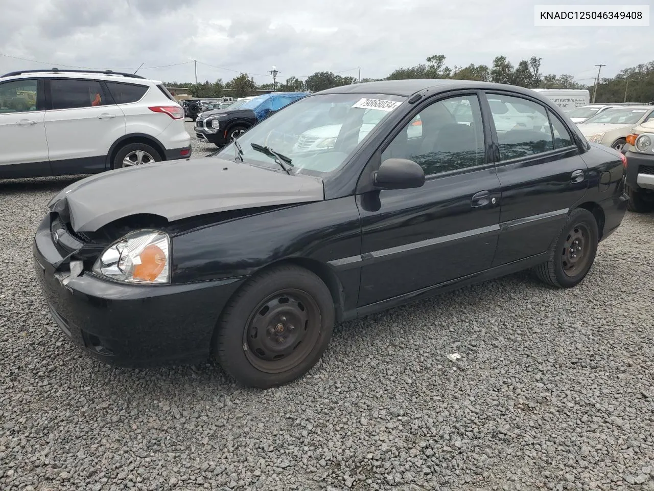 2004 Kia Rio VIN: KNADC125046349408 Lot: 79868034