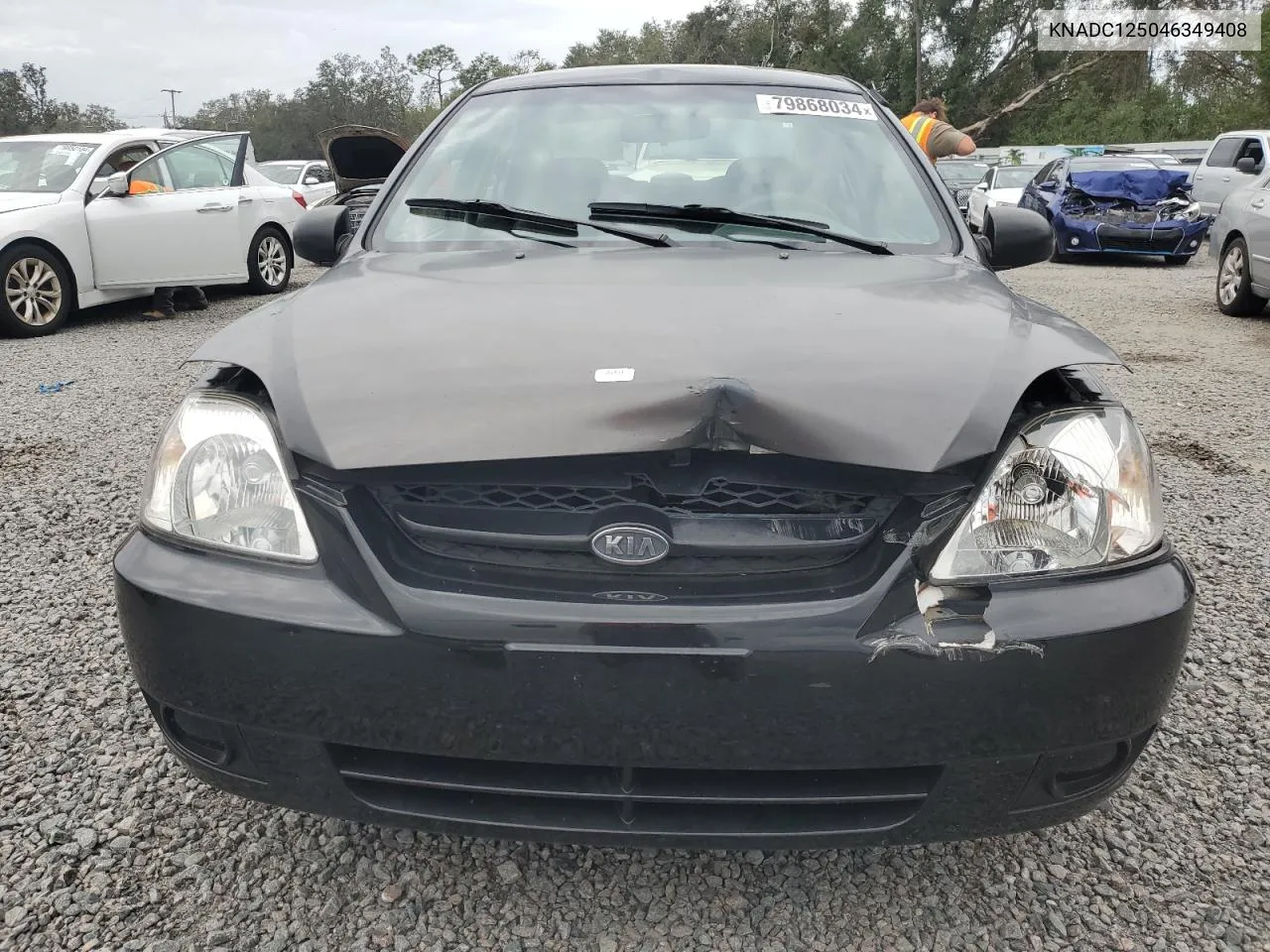 2004 Kia Rio VIN: KNADC125046349408 Lot: 79868034