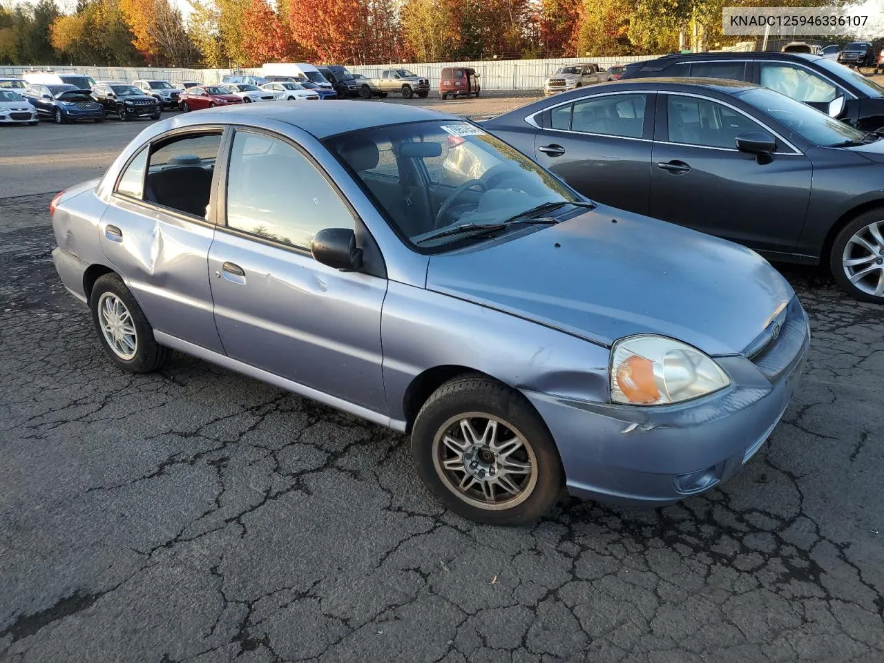 2004 Kia Rio VIN: KNADC125946336107 Lot: 79957854