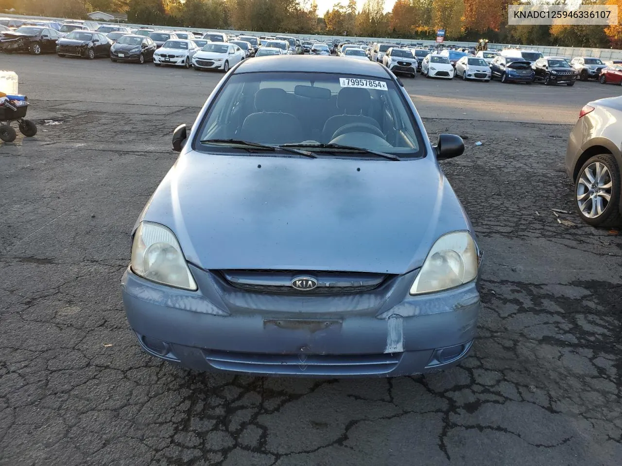 2004 Kia Rio VIN: KNADC125946336107 Lot: 79957854