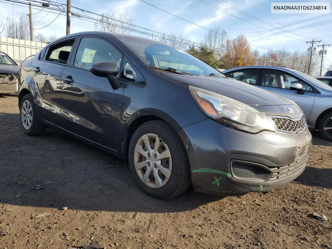 2013 Kia Rio Ex VIN: KNADN4A31D6234814 Lot: 79909684