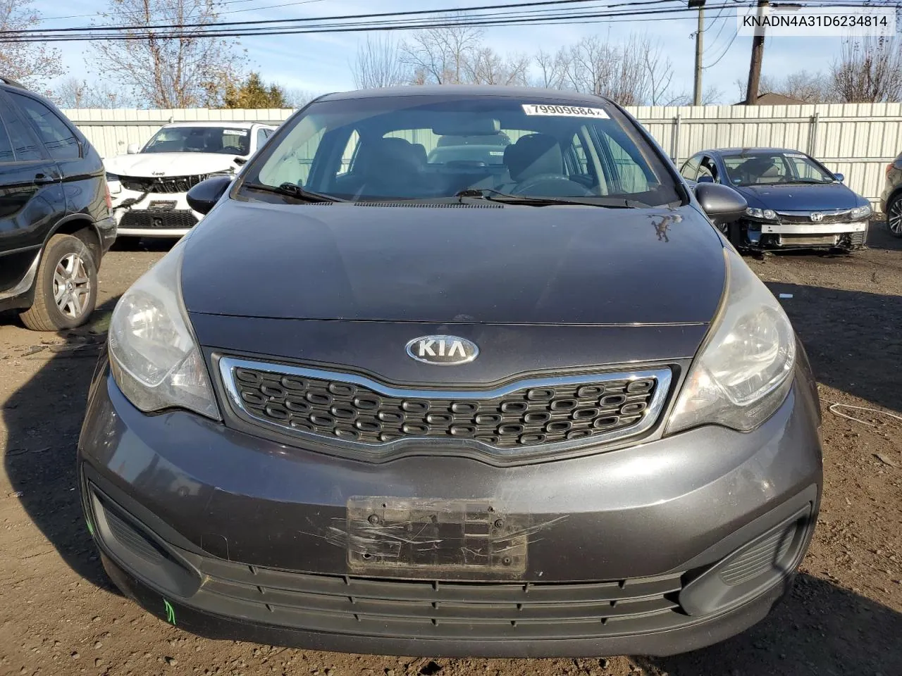 2013 Kia Rio Ex VIN: KNADN4A31D6234814 Lot: 79909684