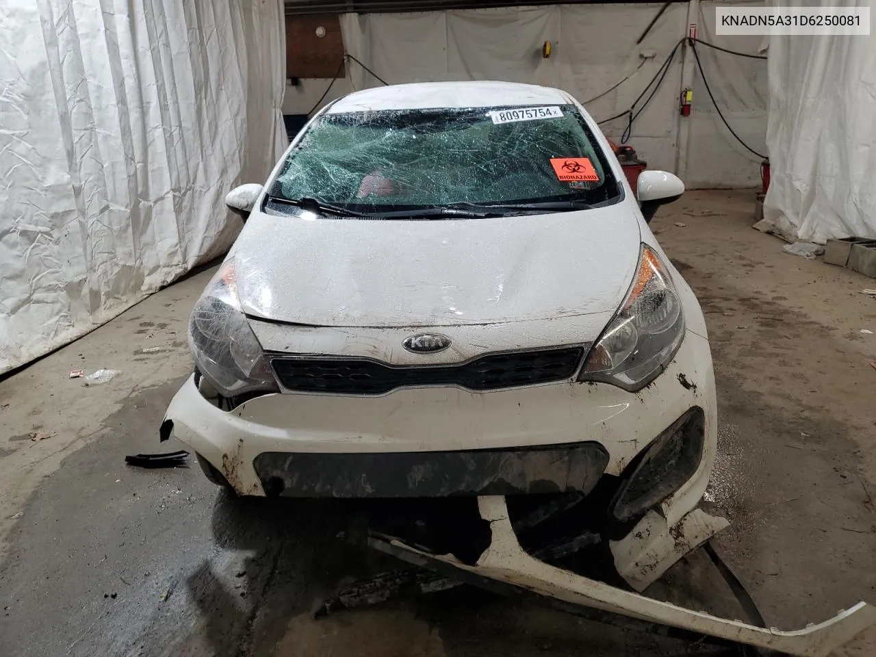 2013 Kia Rio Ex VIN: KNADN5A31D6250081 Lot: 80975754